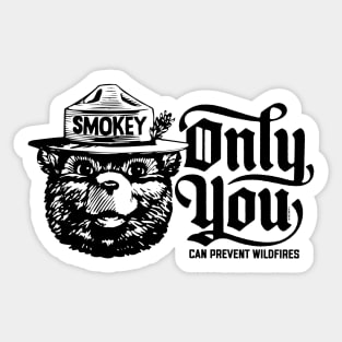 OFFICIALLY LICENSED Smokey Bear  Only You Can Prevent Wildfires Sticker